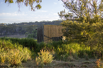 Observation Hide - Lake Inverell